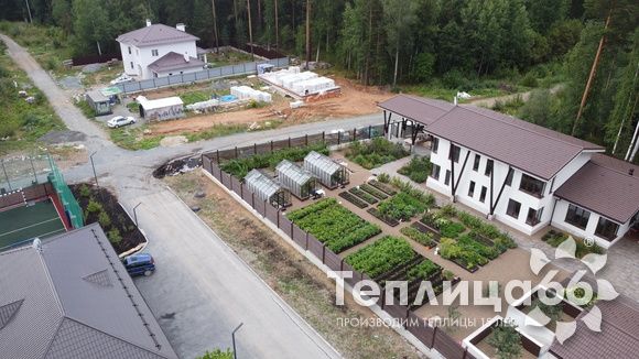 Гигант теплица ботаник максимум!