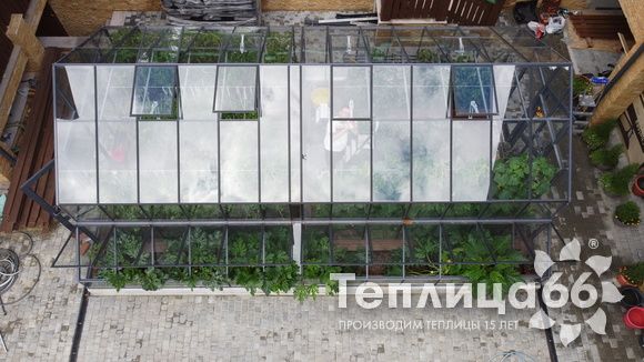 Гигант теплица ботаник максимум!