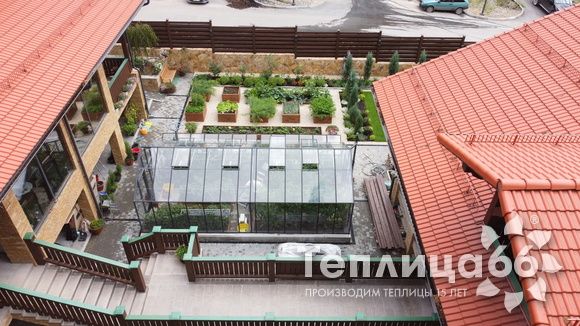 Гигант теплица ботаник максимум!
