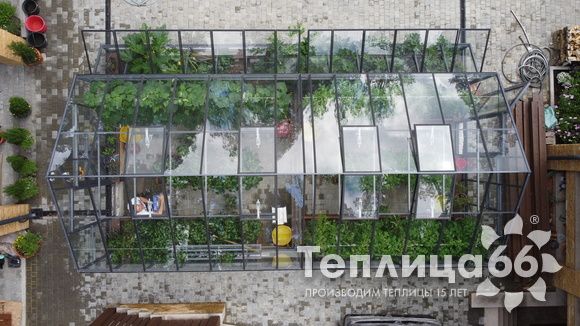 Гигант теплица ботаник максимум!