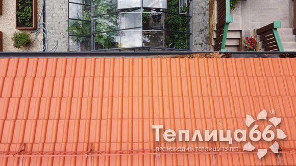 Гигант теплица ботаник максимум!