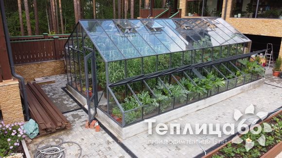 Гигант теплица ботаник максимум!