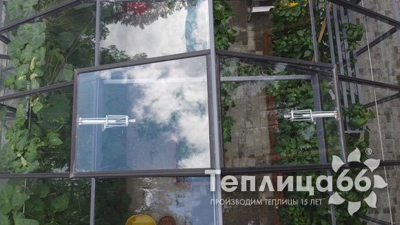 Гигант теплица ботаник максимум!