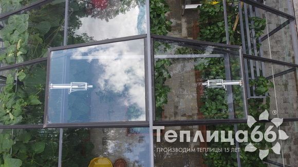 Гигант теплица ботаник максимум!