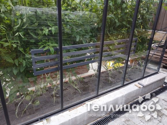 Гигант теплица ботаник максимум!