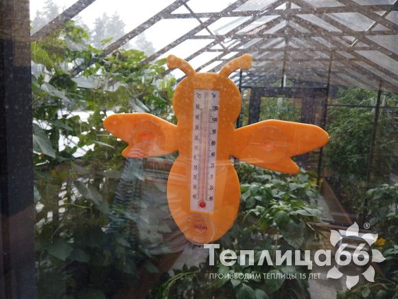 Гигант теплица ботаник максимум!
