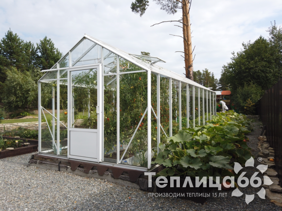 Теплица botanik standard в белом цвете